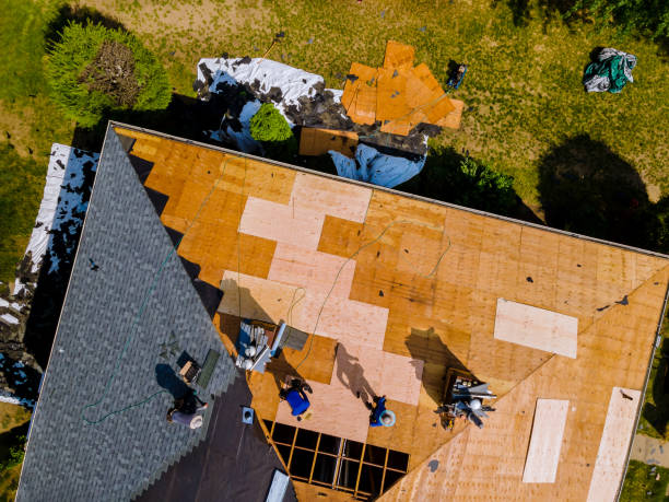 Best Tile Roofing Contractor  in Hazlehurst, MS